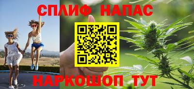 МДПВ Моздок