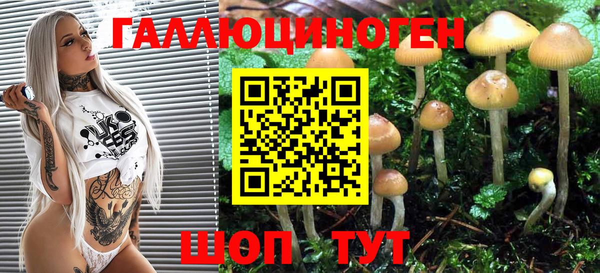 Псилоцибиновые грибы Psilocybine cubensis  Вход с VPN  Янаул 