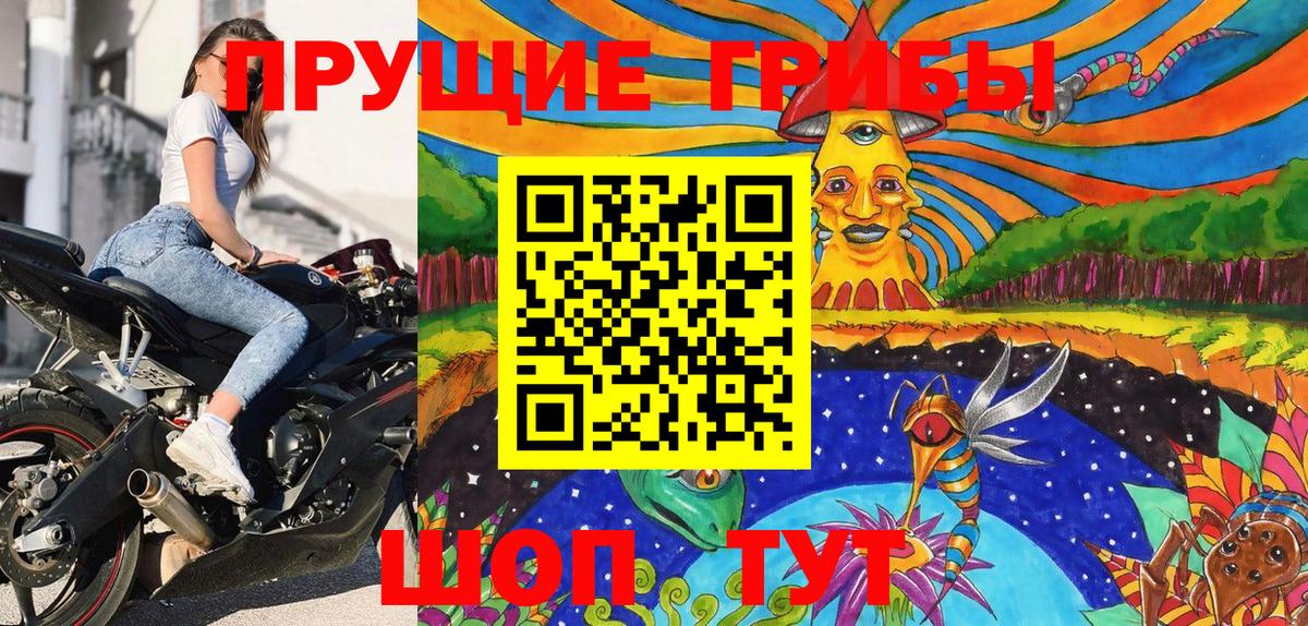 Галлюциногенные грибы Cubensis Янаул